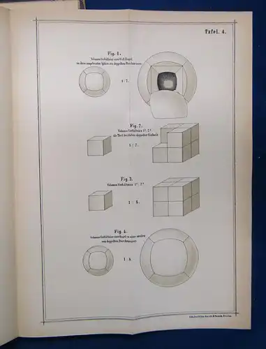 Anderssohn Die Theorie vom Massendruck 1880 Astronomie Mechanik Naturwissen sf