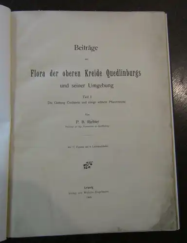 Richter Beiträge zur Flora der oberen Kreide sehr selten 1905 Teil 1 Botanik js