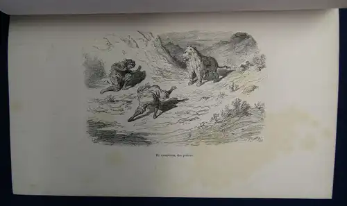 Gerhard La Chasse Au Lion 1855 Abenteuer Reise Afrika Löwenjagd Expedition sf