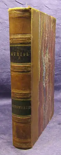 Ainsworth Auriol or The Elixir of Live um 1870 Geschichte Belletristik sf