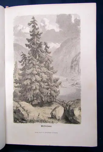 Berlepsch Die Alpen in Natur- und Lebensbildern 1861 Geografie Ortskunde sf