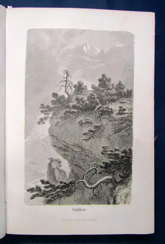 Berlepsch Die Alpen in Natur- und Lebensbildern 1861 Geografie Ortskunde sf