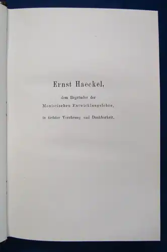 Schmidt Geschichte der Entwicklungslehre 1918 Schöpfungslehre Geschichte  js