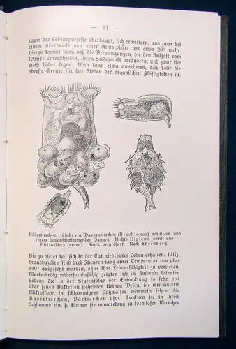 Meyer Bewohnte Welten 1909 Geschichte Landschaft Wissenschaft Wissen sf