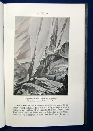 Meyer Bewohnte Welten 1909 Geschichte Landschaft Wissenschaft Wissen sf