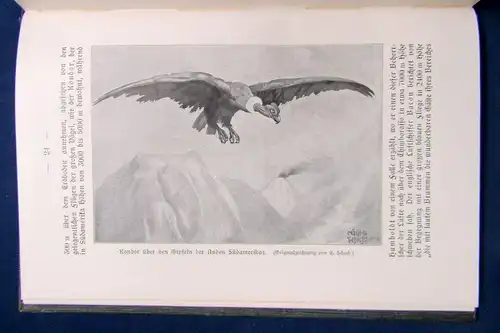 Meyer Bewohnte Welten 1909 Geschichte Landschaft Wissenschaft Wissen sf