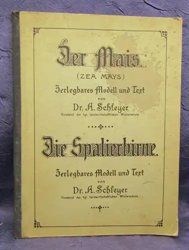 Schleyer Die Spalierbirne, Der Mais um 1910 zerlegbares Modell selten js