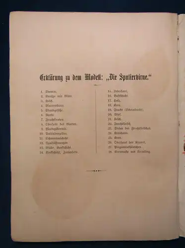 Schleyer Die Spalierbirne, Der Mais um 1910 zerlegbares Modell selten js