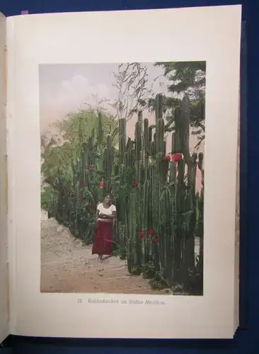 Schroeder Mit Camera und Feder durch die Welt. Mexiko 1905 Ortskunde Azteken js