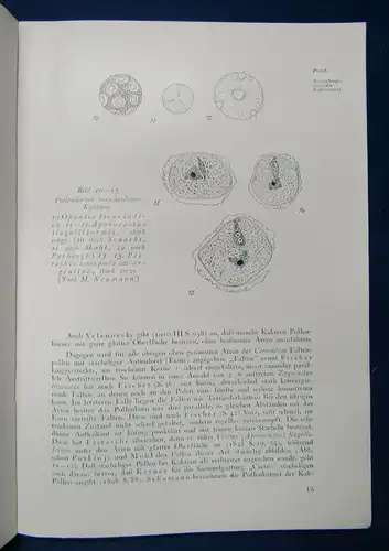 Cactaceae Jahrbücher der Deutschen Kakteengesellschaft E. V. 1938 1. Teil js