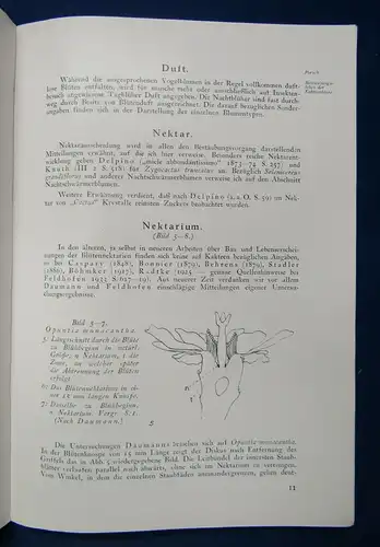 Cactaceae Jahrbücher der Deutschen Kakteengesellschaft E. V. 1938 1. Teil js