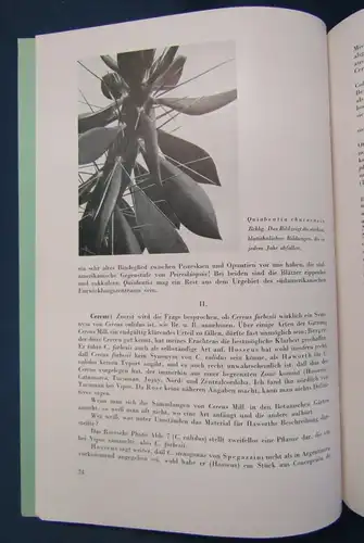 Cactaceae Jahrbücher der Deutschen Kakteengesellschaft E. V. 1939 2 Hefte js