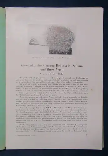 Beiträge zur Sukkulentenkunde und Pflege Lieferung 1-3 1939 Pflanzenkunde js