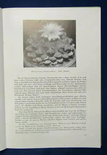 Beiträge zur Sukkulentenkunde und Pflege Lieferung 1-3 1939 Pflanzenkunde js