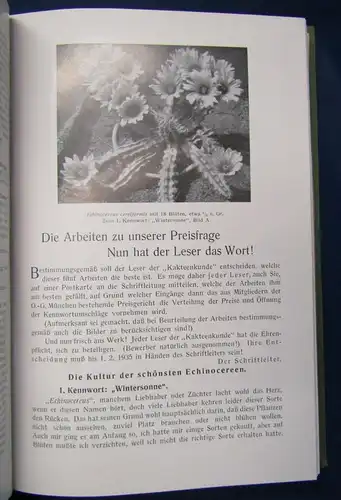 Kakteenkunde Jahrgang 1938 Heft 1- 12 Natur Wissen  Botanik Pflanzenkunde js