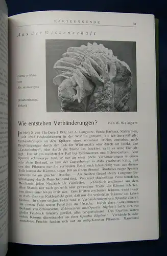 Kakteenkunde Jahrgang 1935 Heft 1- 12 Natur Wissen  Botanik Pflanzenkunde js