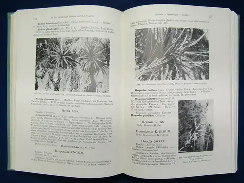 Handbuch der sukkulenten Pflanzen3 Bände 1954 Pflanzenkunde Botanik js