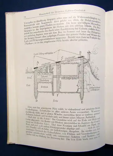 Werdermann Monatsschrift der deutschen Kakteen-Gesellschaft 2. Band 1930 sf