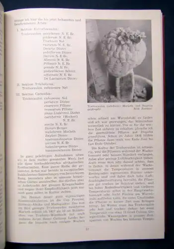 Krainz Sukkulentenkunde I 1947-1957 Jahrbücher Natur Botanik Pflanzen selten sf