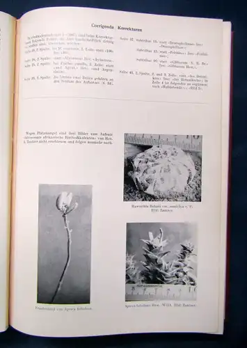 Krainz Sukkulentenkunde I 1947-1957 Jahrbücher Natur Botanik Pflanzen selten sf