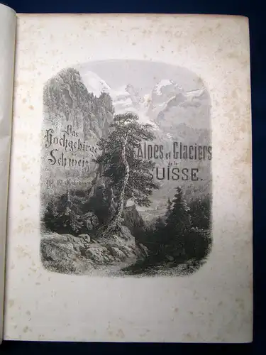 Osenbrüggen Das Hochgebirge der Schweiz um 1880 72 Stahlstiche Landeskunde sf