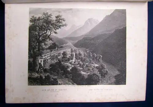 Osenbrüggen Das Hochgebirge der Schweiz um 1880 72 Stahlstiche Landeskunde sf