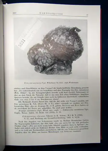 Deutschen Kakteen Gesellschaft Kakteenkunde. 5 Jahrgänge in 1 Bd 1939-1943 sf