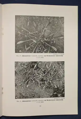 Kästner die Pflanzengesellschaften des westsächs. Berg- & Hügellandes 1939 sf