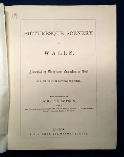 Tillotson Picturesque Scenery in Wales o. J. Landschaft mit 37 Ansichten sf