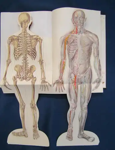 Müller Der Weg zur Gesundheit 1.Bd 1930 selten Vetreterexemplar Beilage js