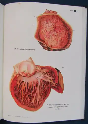 Müller Der Weg zur Gesundheit 1.Bd 1930 selten Vetreterexemplar Beilage js