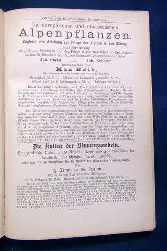 Daul Illustiertes Handbuch der Kakteenkunde 1890 Botanik Natur Pflanzen sf