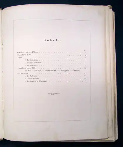 Hammer Hubertus Bilder 1856 selten Erstausgabe Album für Jäger & Jagdfreunde sf