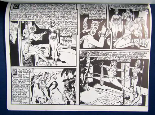 Original Comic "La Princesse Elaine" 1977 französisch Erotik Erotica Liebe sf