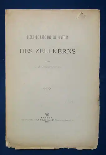 Gerassimoff Ueber die Lage und die Function Des Zellkerns 1900 unaufgesch. js