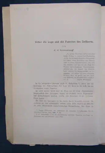 Gerassimoff Ueber die Lage und die Function Des Zellkerns 1900 unaufgesch. js