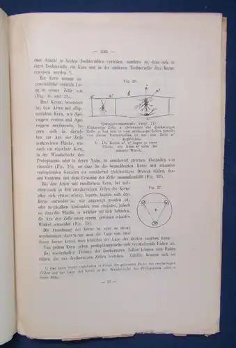 Gerassimoff Ueber die Lage und die Function Des Zellkerns 1900 unaufgesch. js