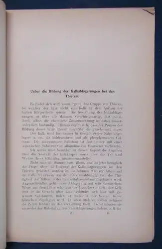 Hilaire Untersuchungen über den Stoffwechsel in Zelle und Geweben 1904  js