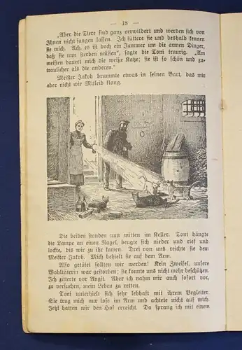 Müller Original Broschur Tierschutz- Kalender 1911 Erzählungen Tiere Zoologie js