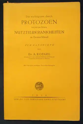 Koegel die wichtigsten durch Protozoen verursachten Nutztierkrankheiten 1926 js