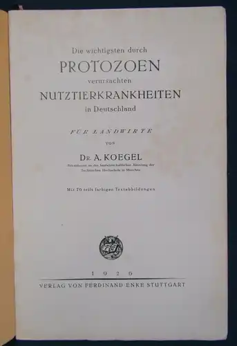 Koegel die wichtigsten durch Protozoen verursachten Nutztierkrankheiten 1926 js