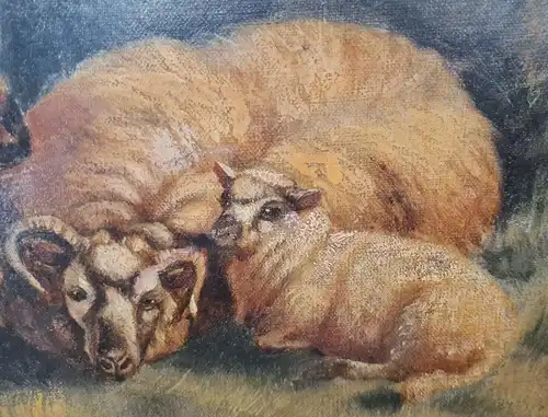 Windred, Edward Henry Öl auf Leinwand "Heidschnucken" 1910 Kunst Malerei sf