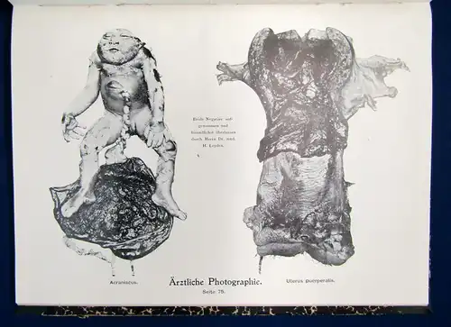Talbot Lichtbildkunst. Ein Lehr- und Handbuch 1901 Geschichte Technik sf