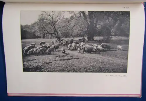 Schmidt Kompendium der praktischen Photographie 1912´, 14 Tafeln, Erklärungen js