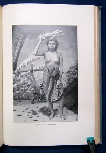 Haeckel aus Insulinde Malayische Reisebriefe Literatur Abbildungen 1901 js