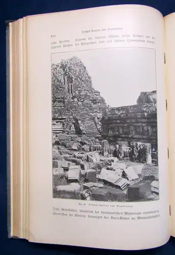 Haeckel aus Insulinde Malayische Reisebriefe Literatur Abbildungen 1901 js