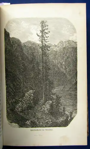 Taine Voyage aux eaux des Pyre'ne'es 64 Holzstiche v. Gustav Dore EA 1855 js