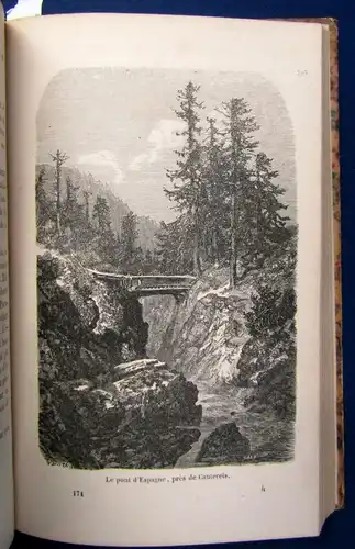 Taine Voyage aux eaux des Pyre'ne'es 64 Holzstiche v. Gustav Dore EA 1855 js