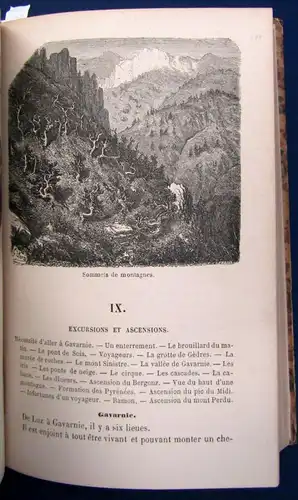 Taine Voyage aux eaux des Pyre'ne'es 64 Holzstiche v. Gustav Dore EA 1855 js