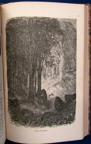 Taine Voyage aux eaux des Pyre'ne'es 64 Holzstiche v. Gustav Dore EA 1855 js